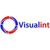 Visualint Logo